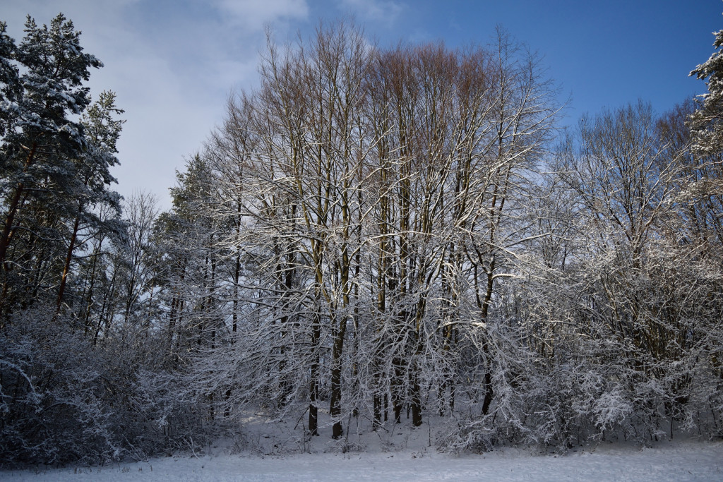 Impressionen Kalte weißblaue Jahreszeit