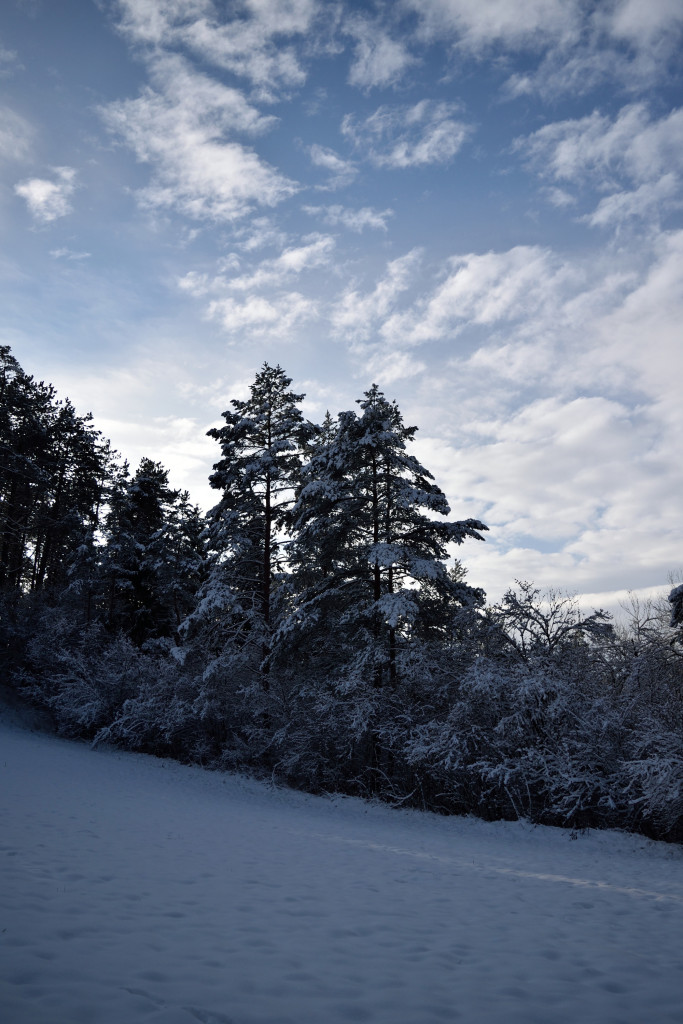 Impressionen Kalte weißblaue Jahreszeit