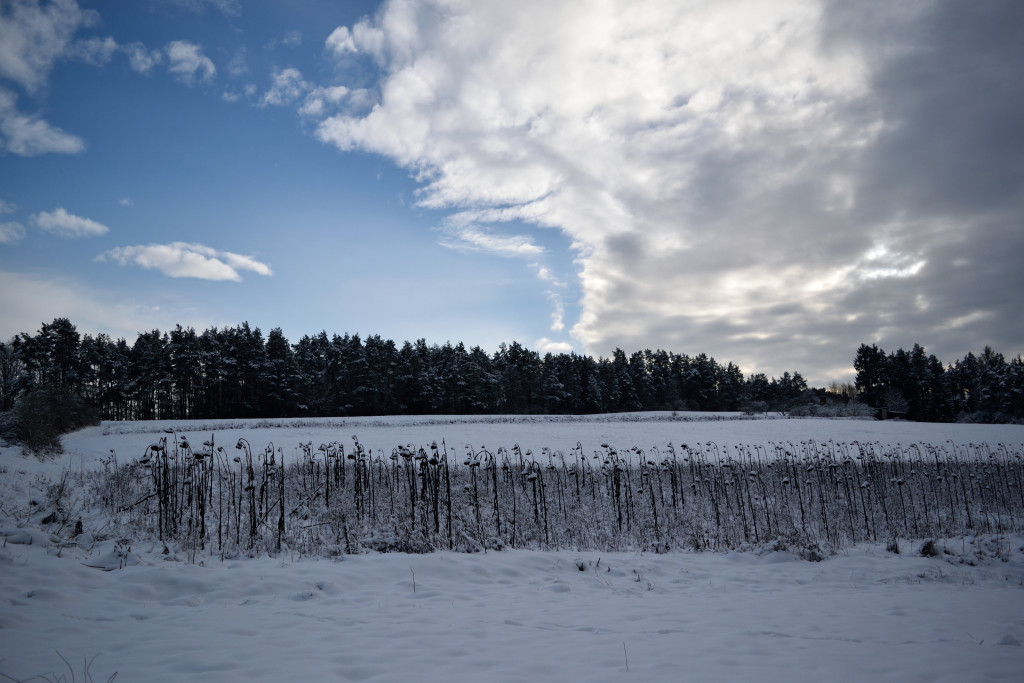 Impressionen Kalte weißblaue Jahreszeit