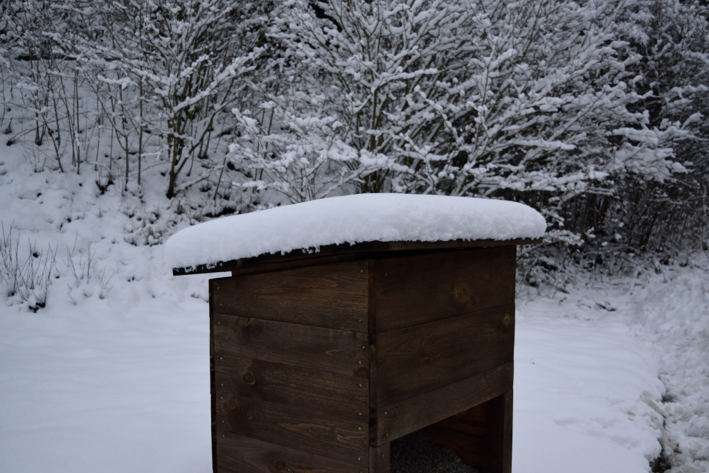 Impressionen Kalte weißblaue Jahreszeit